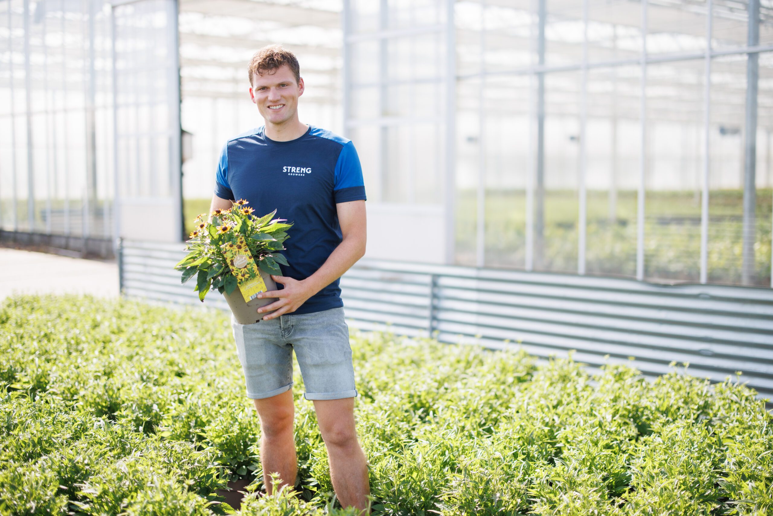 Streng Growers